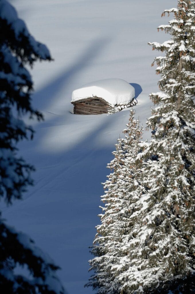 Between two snowy trees is a winter view of a hut with a snow filled roof, surrounded by fresh snow.